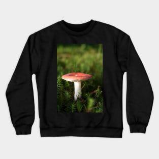 Toadstool Crewneck Sweatshirt